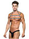 Baci Envy Rainbow Harness