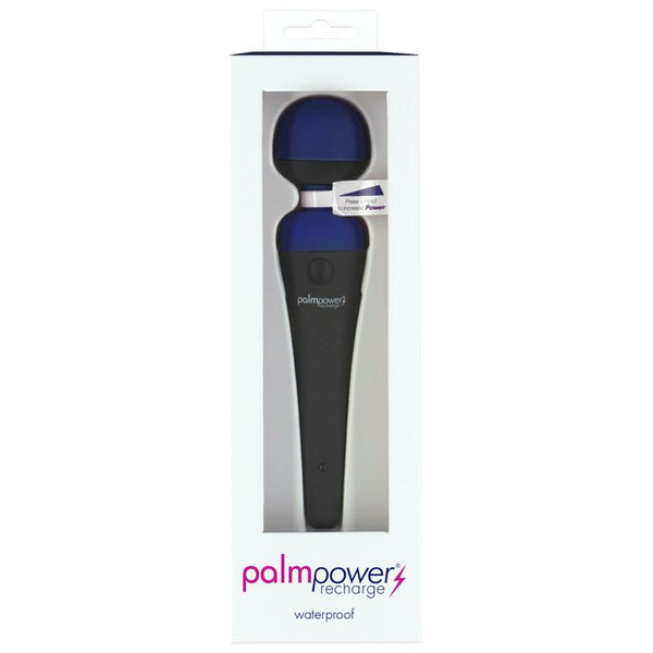 BMS Factory Palm Power Rechargeable