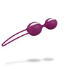 Fun Factory Smartballs DUO Ben Wa Balls