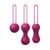 Je Joue Ami Kegel Exerciser Kit