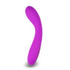 Randy Fox - Rechargeable Randy G Vibrator