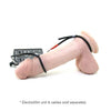 ElectraStim Rubber Adjustable Cock And Scrotal Loops Electro Sex Toy