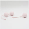 Par Femme AAH Kegel Set