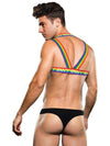 Baci Envy Rainbow Harness