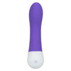 CalExotics Basic Essentials Rechargeable G-Spot Massager