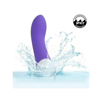 CalExotics Basic Essentials Rechargeable G-Spot Massager