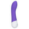 CalExotics Basic Essentials Rechargeable G-Spot Massager