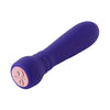 Femme Fun Booster Bullet Rechargeable Silicone Vibrator with Booster Function