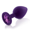 Rianne S Booty Plug Medical Grade Silicone Butt Plug Training Kit