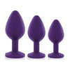 Rianne S Booty Plug Medical Grade Silicone Butt Plug Training Kit