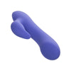 CalExotics Connect Dual Stimulator