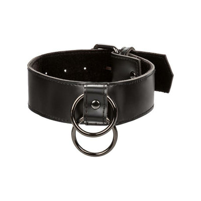 Calexotics Euphoria Collection Collar with Chain Leash