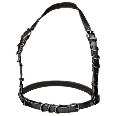 Calexotics Euphoria Collection Halter Buckle Harness