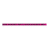 Hott Products Caution Party Tape Wild Bitches 100 Inches