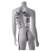 Sportsheets Edge Body Zipper Clothes Pins
