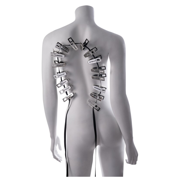 Sportsheets Edge Body Zipper Clothes Pins