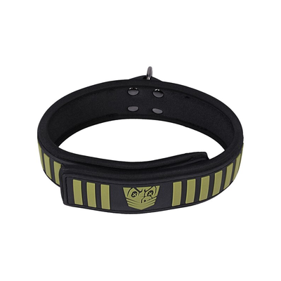 Fort Troff Tactical Collar and Leash