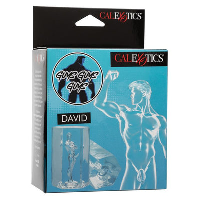 CalExotics Guys Guys Guys David Masturbator 3.75” x 2.25”