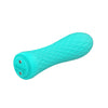 Nalone Ian Compact Powerful Massage Bullet 20 Function USB Rechargeable
