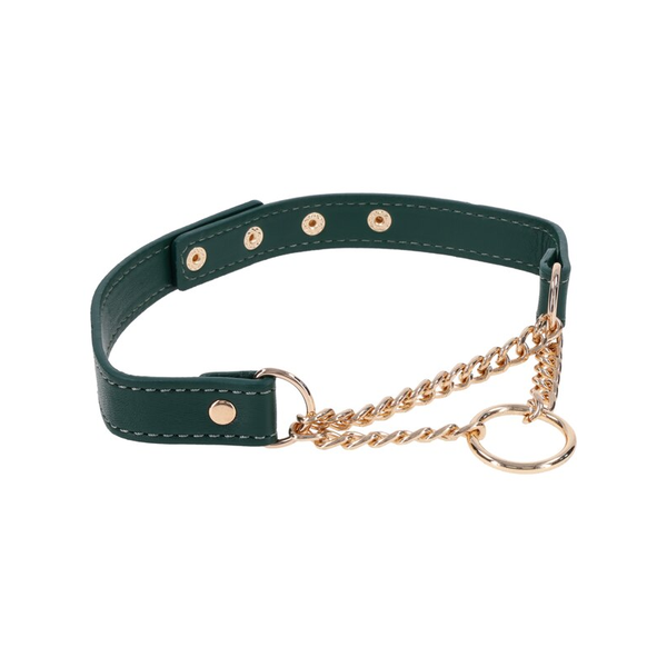 Sportsheets Indica Day Collar