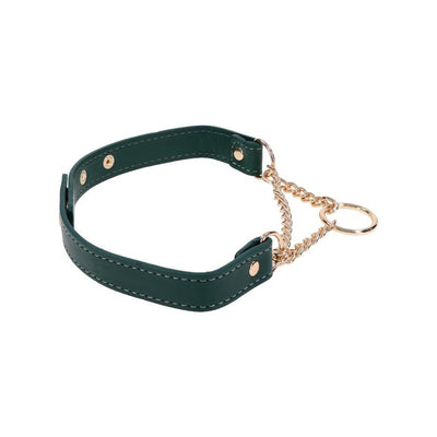 Sportsheets Indica Day Collar