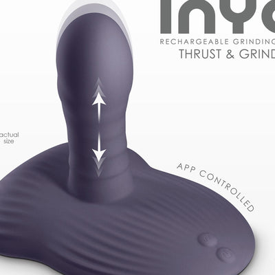 NS Novelties INYA Thrust and Grind App Control