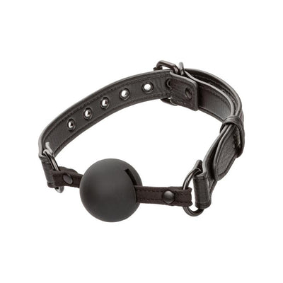 CalExotics Nocturnal Collection Ball Gag