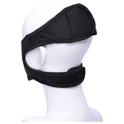 Sportsheets Pivot In Your Face Strap On
