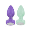 Luv Inc Vibrating Plug With Remote