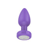 Luv Inc Vibrating Plug With Remote
