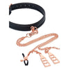 BMS Factory Punishment Choker and Nipple Clamps