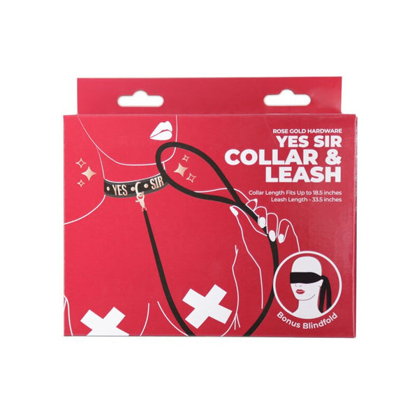 BMS Factory Punishment Yes Sir Collar and Leash