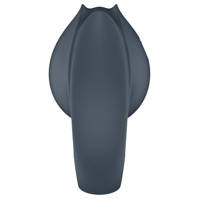 Satisfyer Perfect Pair 2