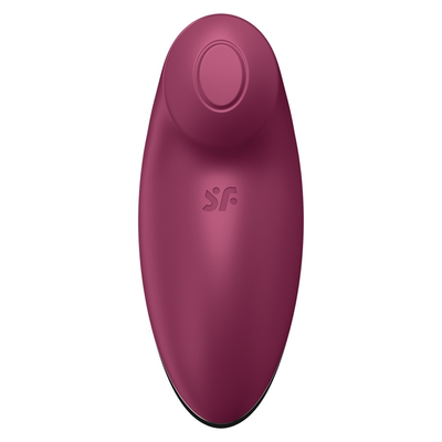 Satisfyer Tap and Climax 2 Lay-On Vibrator