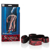 California Exotic Scandal Bondage Bar Sex Swing