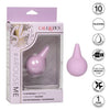 Cal Exotics Slay ArouseMe Egg Vibrator