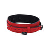 Sportsheets Sex And Mischief Amor Collar and Leash