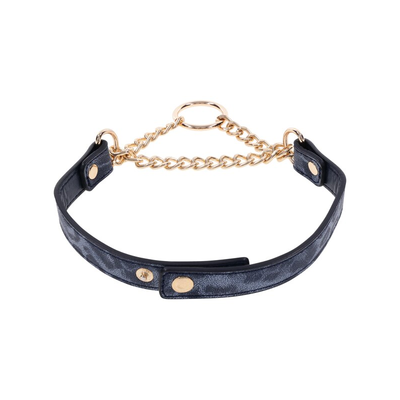 Sportsheets Sex And Mischief Cougar Day Collar