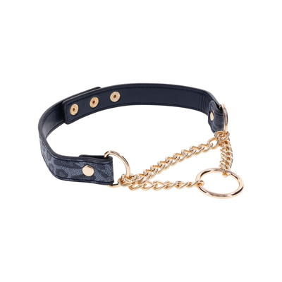 Sportsheets Sex And Mischief Cougar Day Collar