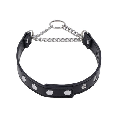 Sportsheets Sex And Mischief Shadow Day Collar