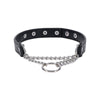 Sportsheets Sex And Mischief Shadow Day Collar