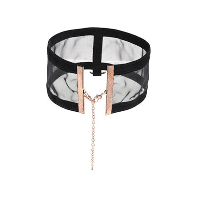 Sportsheets Sex And Mischief Sheer Day Collar