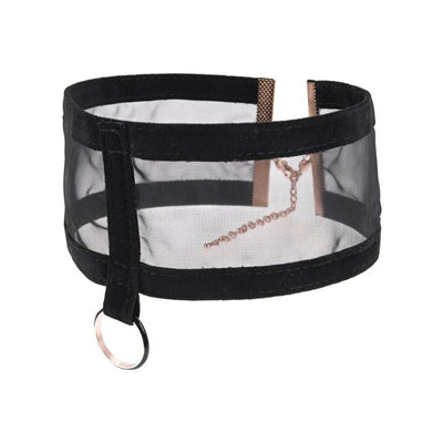 Sportsheets Sex And Mischief Sheer Day Collar