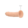 Real Rock Silicone Dual Density Dildo Without Balls 6 Inch