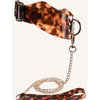 Sportsheets Amber Collar and Leash