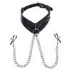 Sportsheets Velvet Noir Collar and Removable Clamps